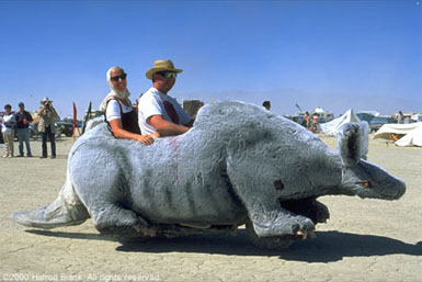 Aardvark, 2000 (Photo by Harrod Blank)