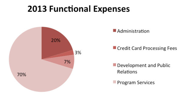 2013-Functional-Expenses
