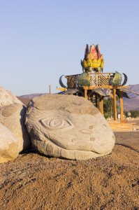 Desert Tortoise in Fernley, NV, 2014