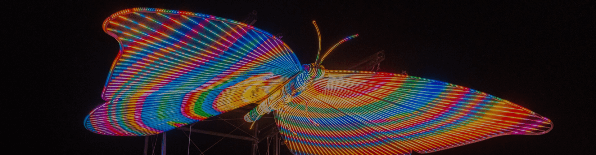 Art History | Burning Man Project History