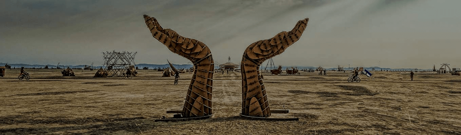 Historical Publications | Burning Man Project History